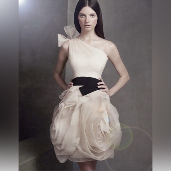 Vera Wang Bridesmaid For David’s Bridal - Picture 2 of 16